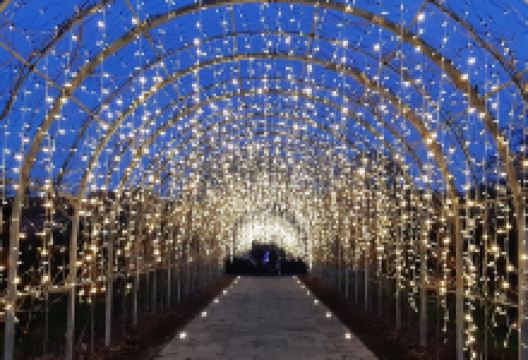 Royal Horticultural Society景点图片