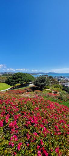 Doris Walker Overlook-达纳点