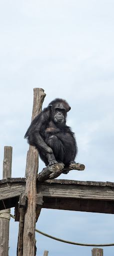 Öland Zoo and Amusement Park-默尔比隆阿