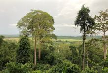 TREK HUTAN BUKIT KUTA景点图片