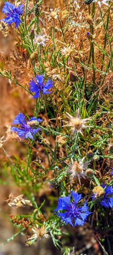 Catherine Creek Day Use Area/Trailhead-克利基塔特县