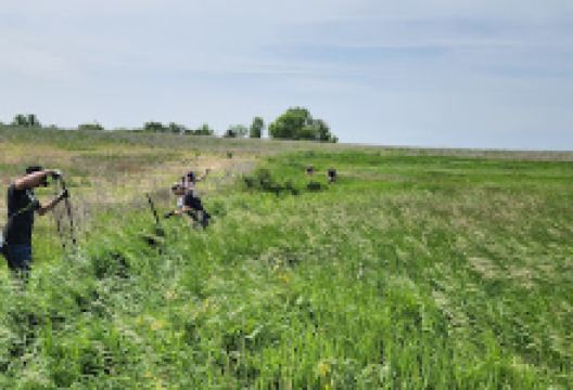 Prairie Creek Wildlife Management Area - Koester Prairie景点图片