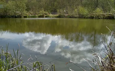 Stub Ponds Fishery