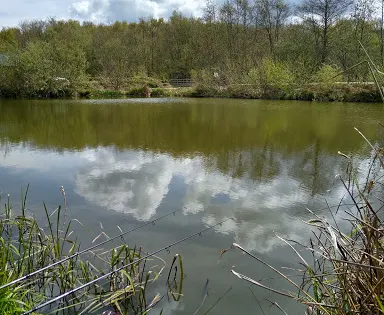 Stub Ponds Fishery