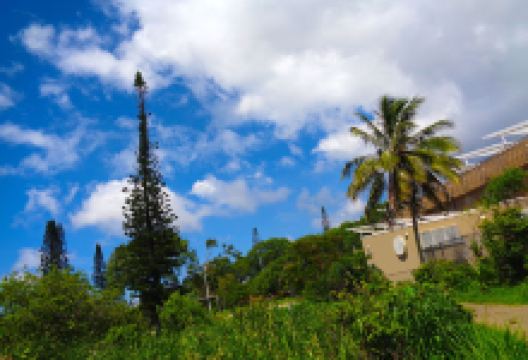 Parc Municipal de Rivière Salée, Nouméa, province Sud景点图片