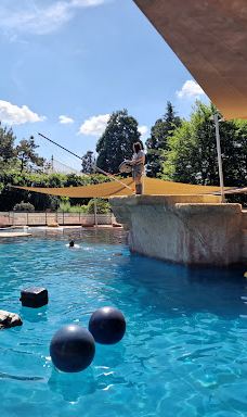 海德堡动物园-海德堡