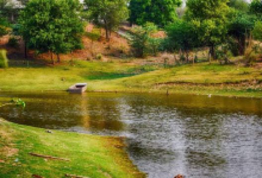 Dream Island景点图片