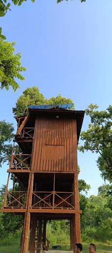 Tikauli Jungle-奇旺