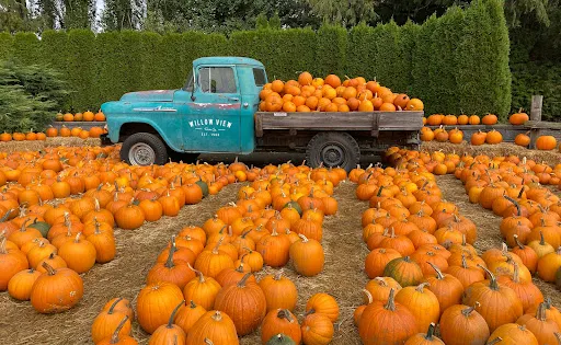 Willow View Farms