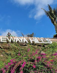 Raewaya Hills-埃尔马迪迪