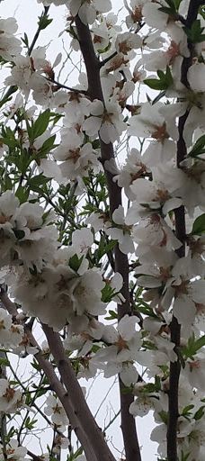 Concordia Park-洛格罗尼奥