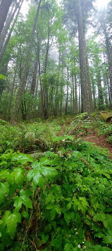 Spencer Butte Trailhead-雷恩县