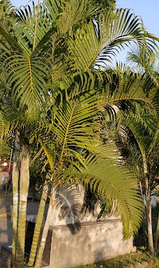 Nofel Dream World Park-诺阿卡利