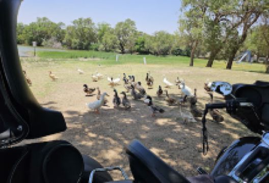 Ninth Street Park景点图片