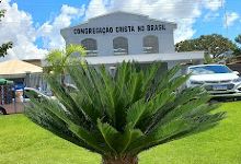Congregação Cristã no Brasil - Vianópolis Central景点图片