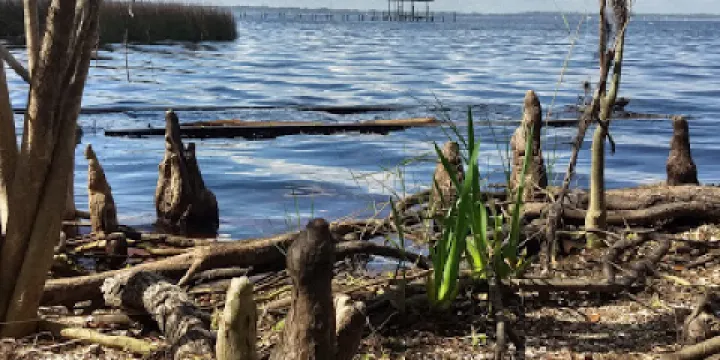 Mandarin Museum and Historical Society