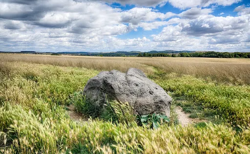 Cuckoo stone