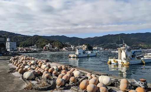 網代港
