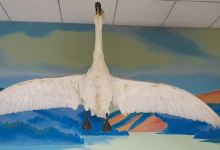 Museum of Dornod, Дорнод аймгийн музей景点图片