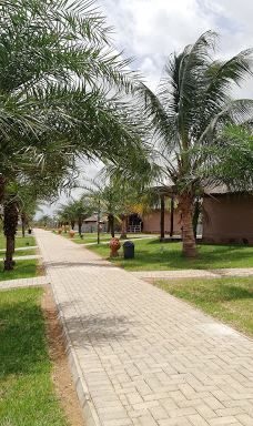 Keta Lagoon Protected Area-凯塔