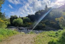 Mt Grey/Maukatere tracks景点图片