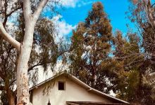 Reyes Adobe Park景点图片