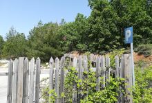 Balkan Botanic Garden of Kroussia景点图片