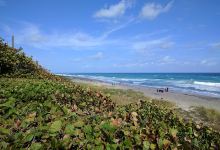 Ocean Cay Park景点图片