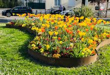 Square d'Haringey景点图片