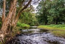 Running Creek Camping景点图片