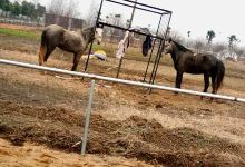 息国风情园景点图片