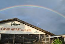 Alcasid Aviary and Farm景点图片
