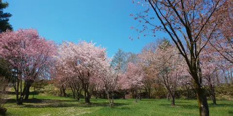 東藻琴神社