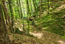 Burgstall Grünenberg auf dem Schloßberg景点图片