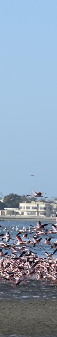 长滩休闲公园-Langstrand