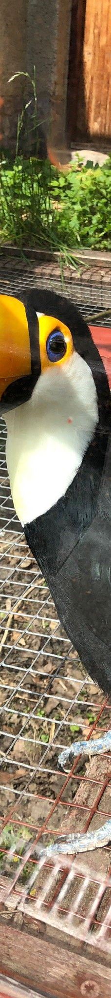 Zoo Kosice-科希策1区