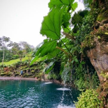 阿拉胡埃拉图片