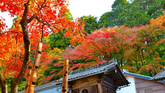 香積寺