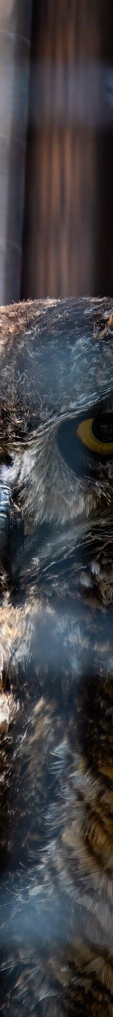 大熊湖动物园-大熊湖