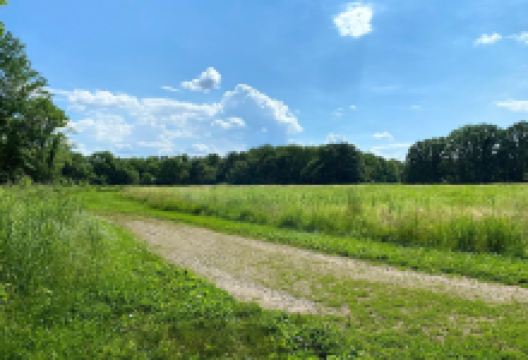 Lincoln Memorial Garden景点图片