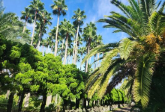 翰林公园景点图片