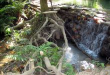 Namtok Huai Rong Waterfall景点图片