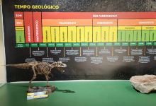 Paleontologia de Marilia Museum景点图片