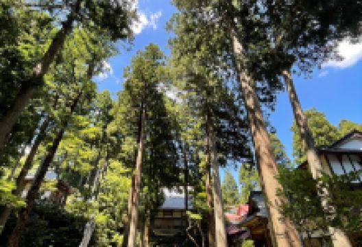 吉峰寺景点图片