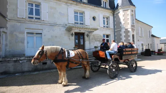 Domaine de la Gabilliere