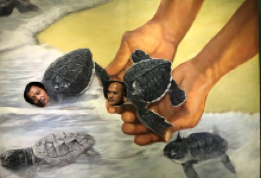 3D Wonders Museum景点图片