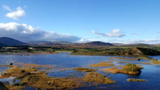 RSPB - Insh Marshes