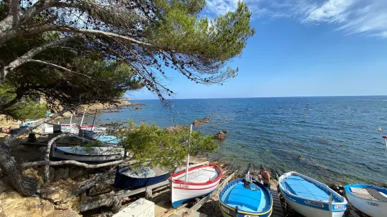 Plage de la Verne