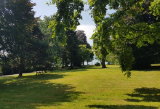 Gartendenkmal Lindenhofpark景点图片