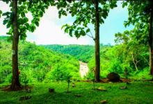 Gunung Susuru Sites景点图片